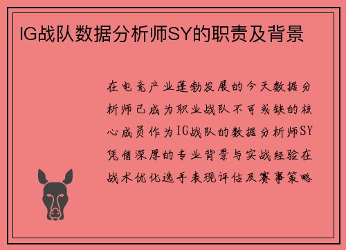 IG战队数据分析师SY的职责及背景