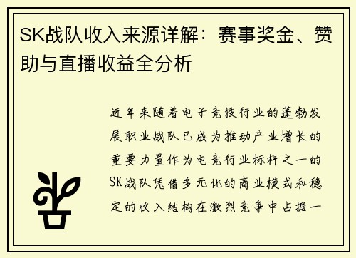 SK战队收入来源详解：赛事奖金、赞助与直播收益全分析